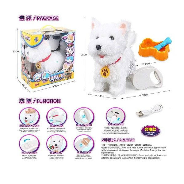 الكلب اللطيف الأبيض